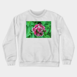 Nature's Flower Bouquet Crewneck Sweatshirt